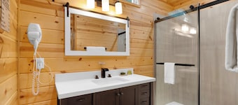Mt. Lemmon Hotel Pet Friendly Cabin #3