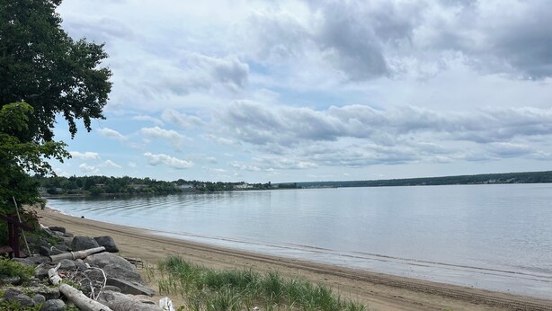 A beach with a sandy shore, scattered logs, and sparse vegetation.