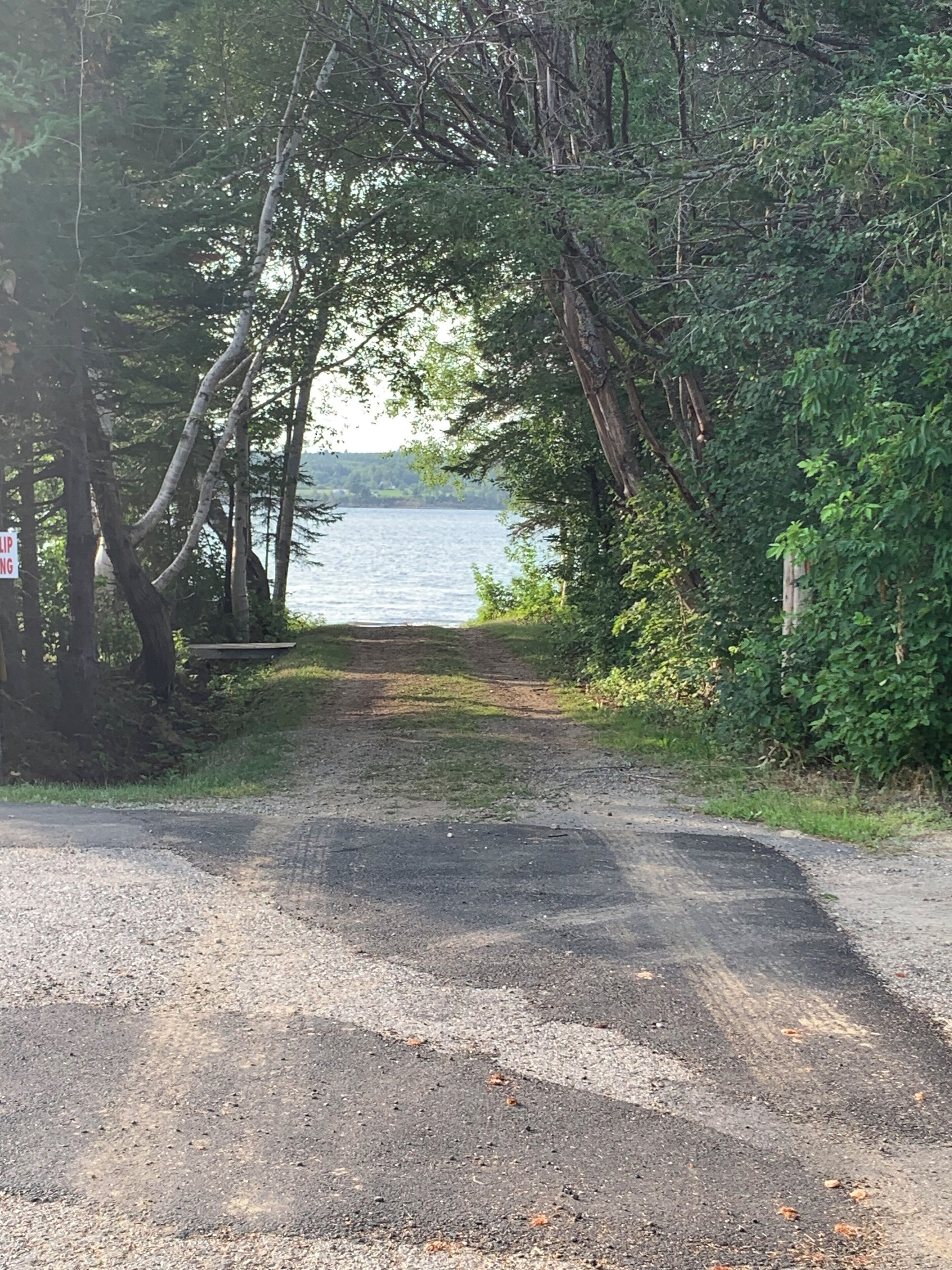 A gravel path leading to a body of water, surrounded by dense trees and greenery.