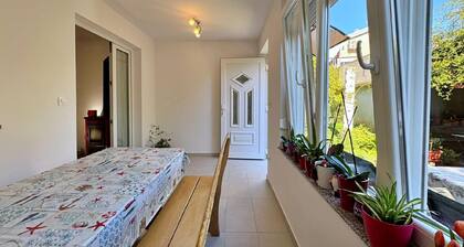 Flat Gordana-terrace, pets allowed