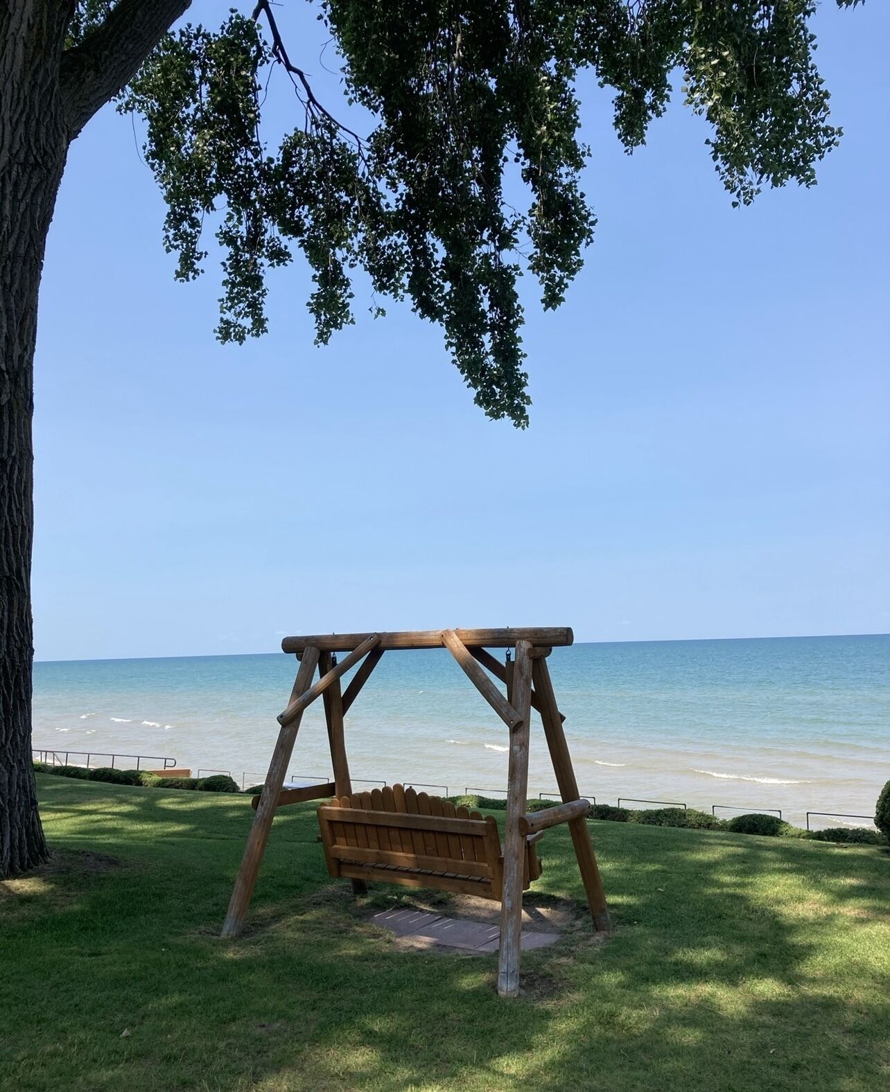 A wooden swing set under a tree by a beach with clear blue water.