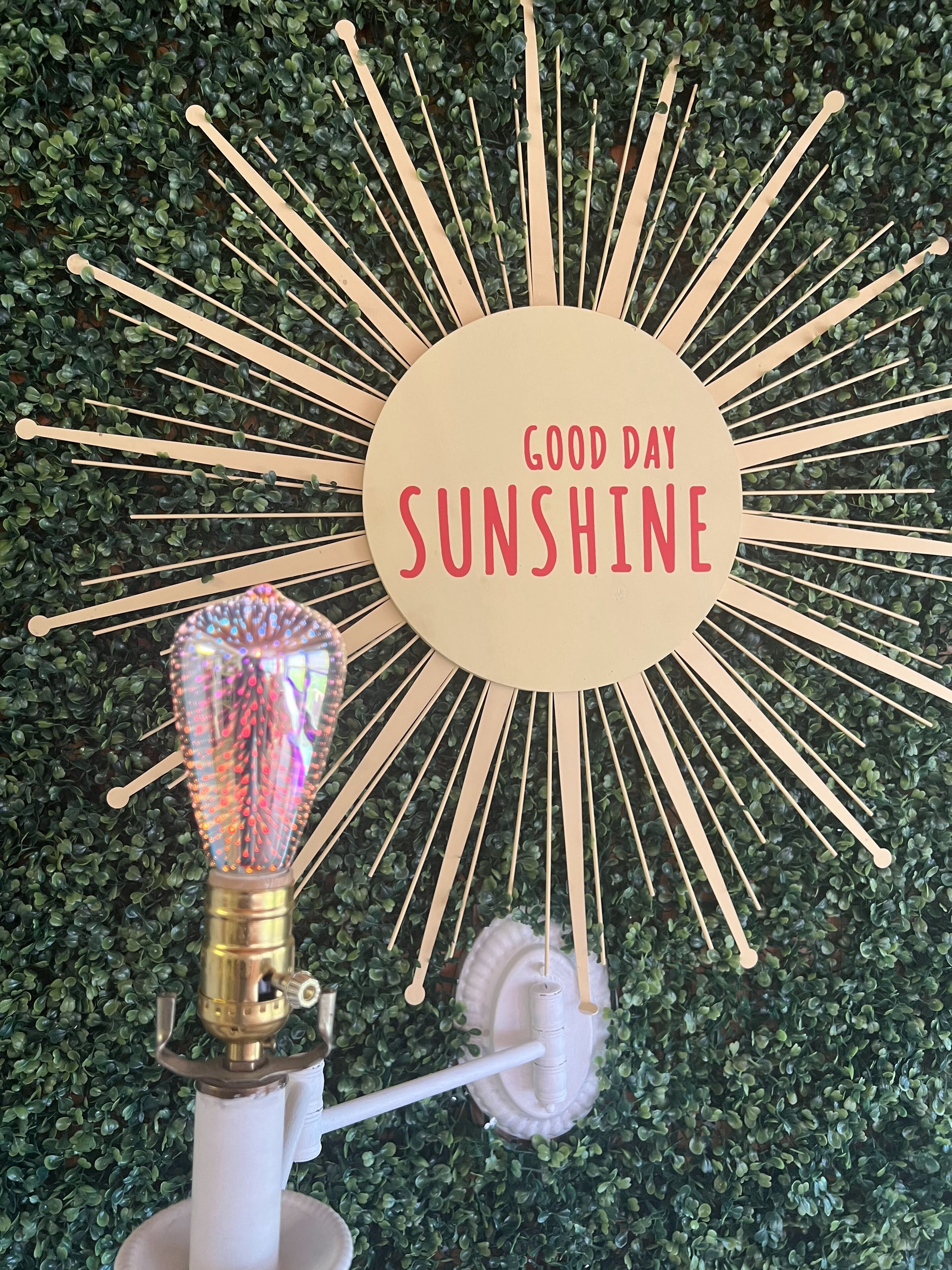 Un panneau décoratif portant l’inscription « GOOD DAY SUNSHINE », entouré de petites baguettes de bois, le tout placé sur un fond de feuillage verdoyant.