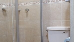 Une salle de bain avec une douche à parois de verre, des toilettes et un carrelage au sol.
