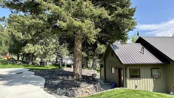 A house with a stone foundation, a metal roof, and a large tree in front.