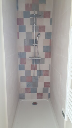 Shower, hair dryer, towels, toilet paper