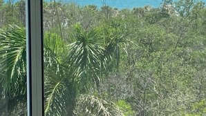 Udsigt over et kystlandskab med frodig vegetation og en klar himmel.