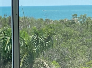 A view of a coastal landscape with dense vegetation and a clear sky.