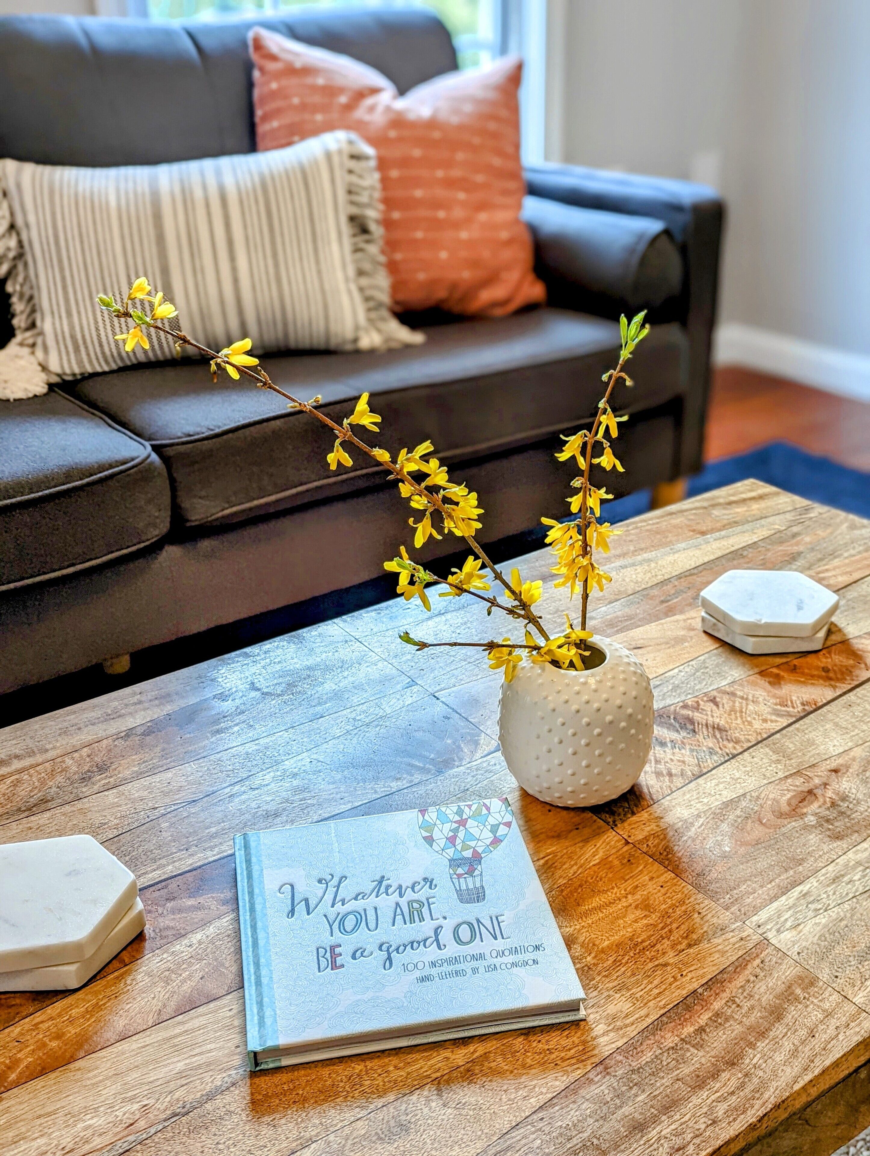 Bright, modern and inviting apartment on a quaint residential street