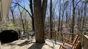 Unclassified image, 3 of 50, button - Cozy historic cottage in the woods. 10 minute walk to town  (Tryon)