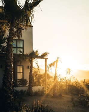 Exterior - Hotel So Far So Good (El Pescadero)