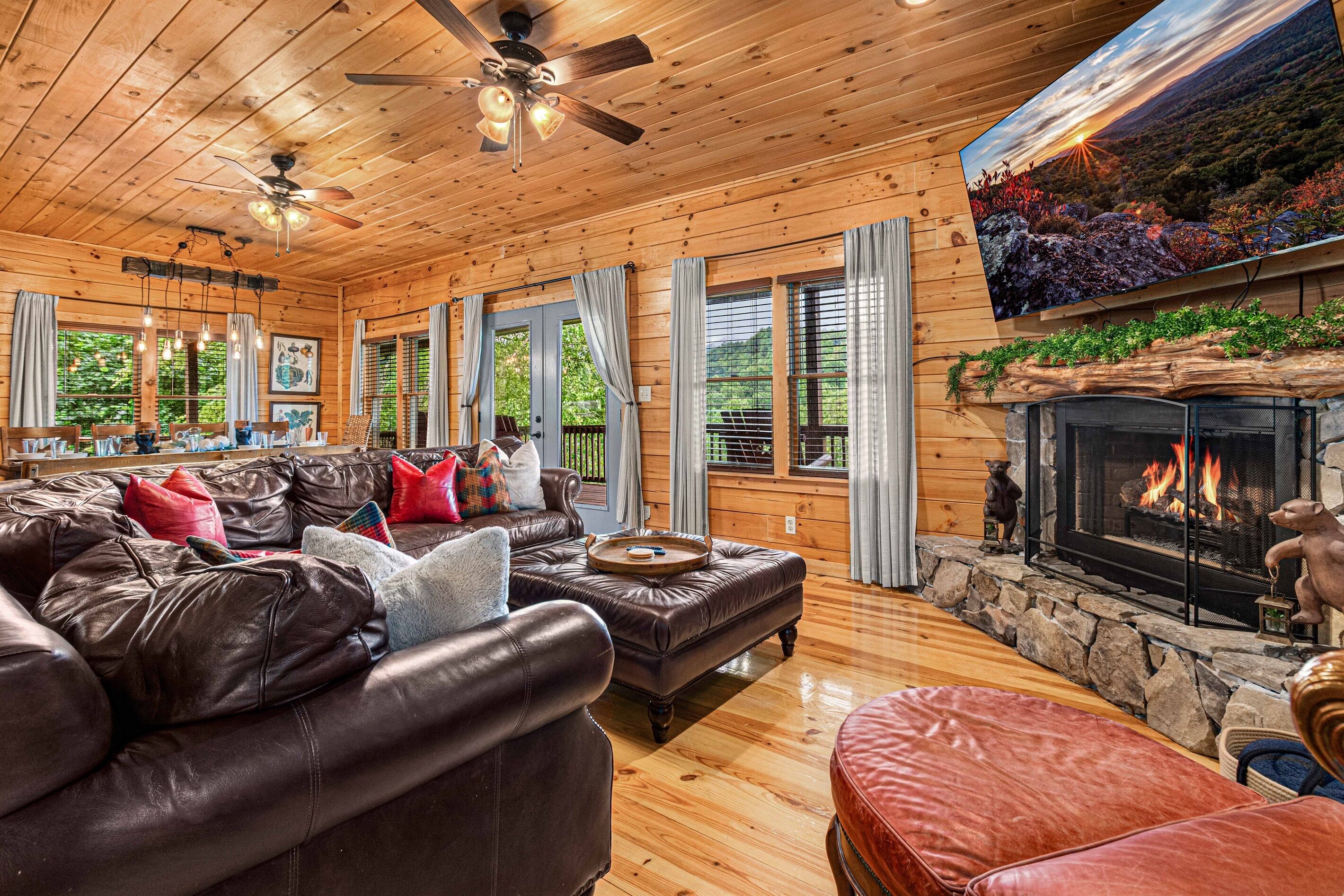 Smart TV, fireplace, video games, DVD player