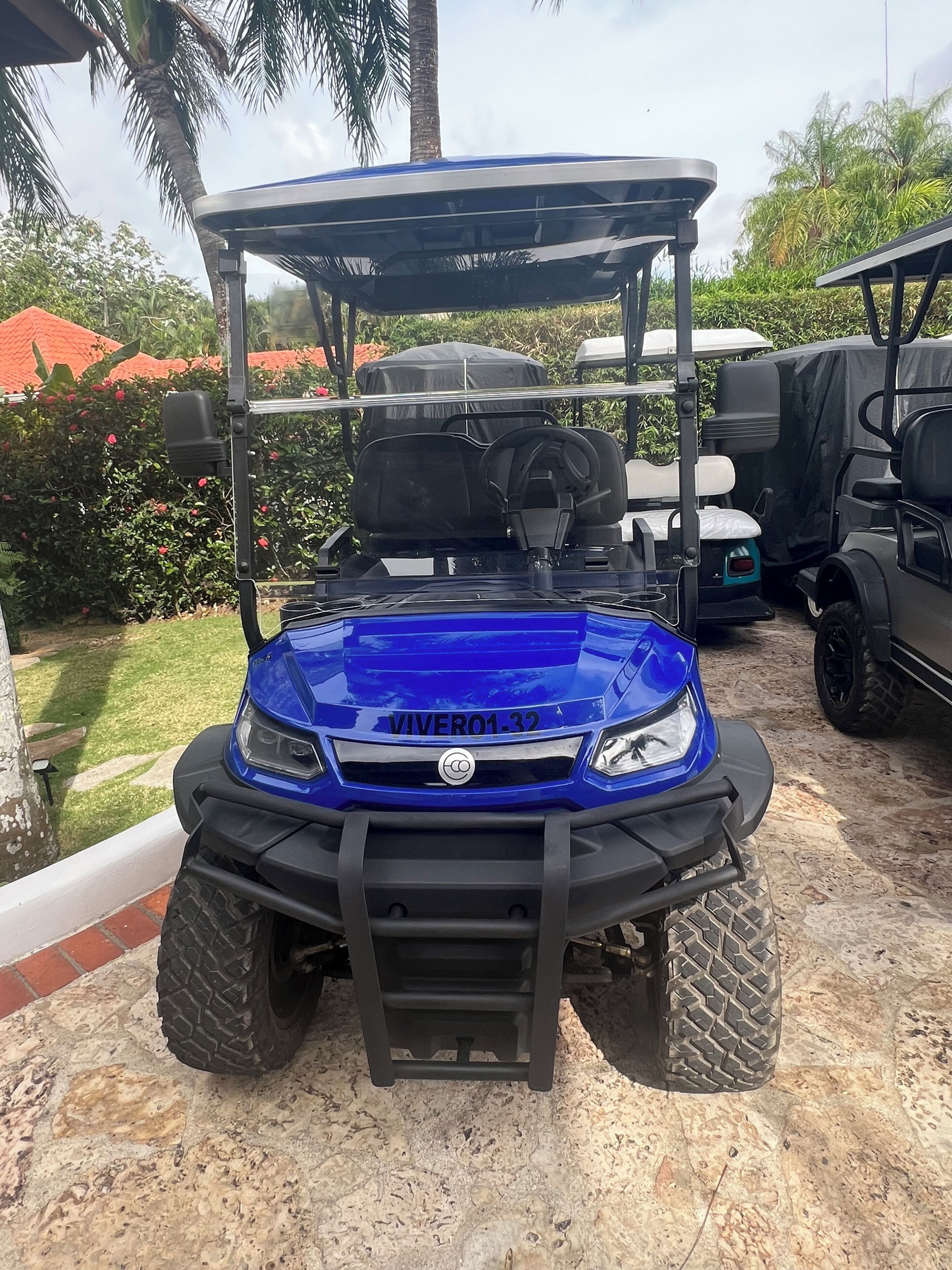 Une voiturette de golf bleue, portant le numéro d’immatriculation « VIVER01-32 », est garée sur une surface en pierre.