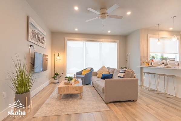 Smart TV, books, video library