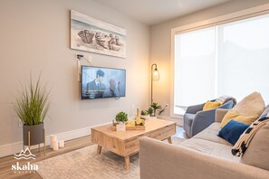 Smart TV, books, video library