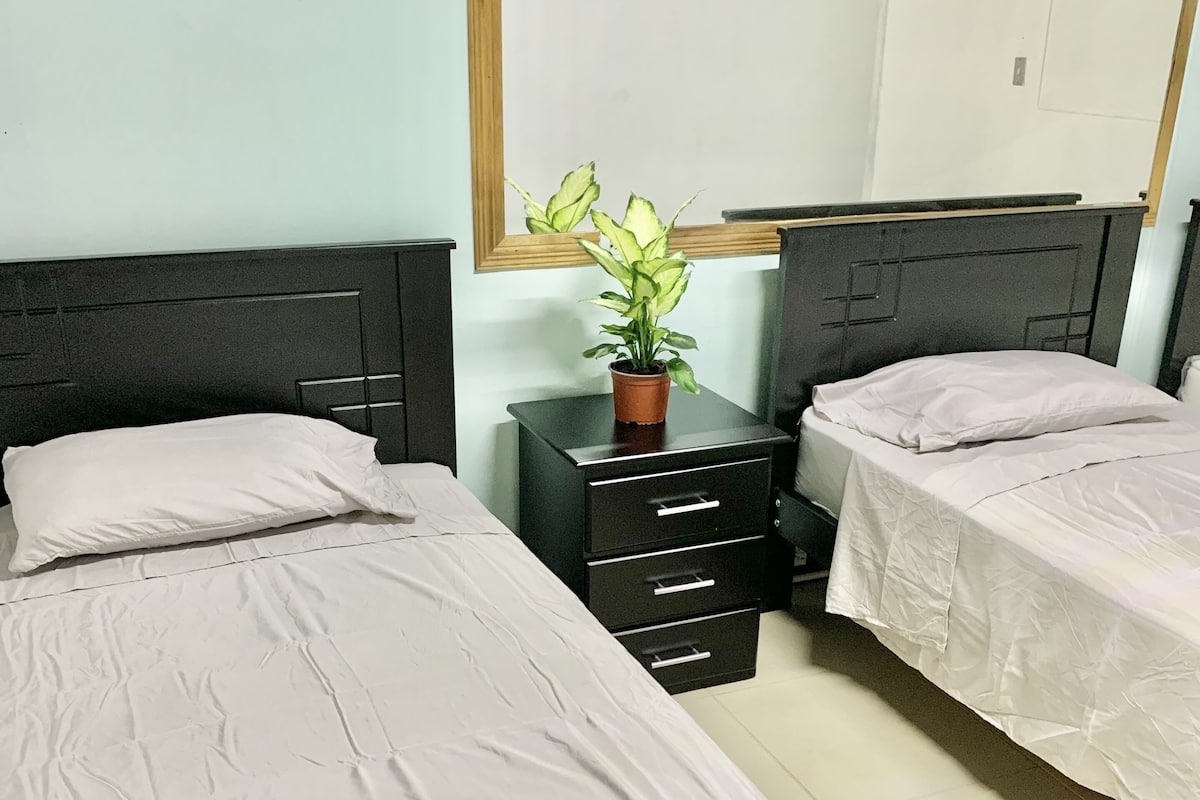 A hotel room with two beds, a small table with a potted plant, and a wardrobe.