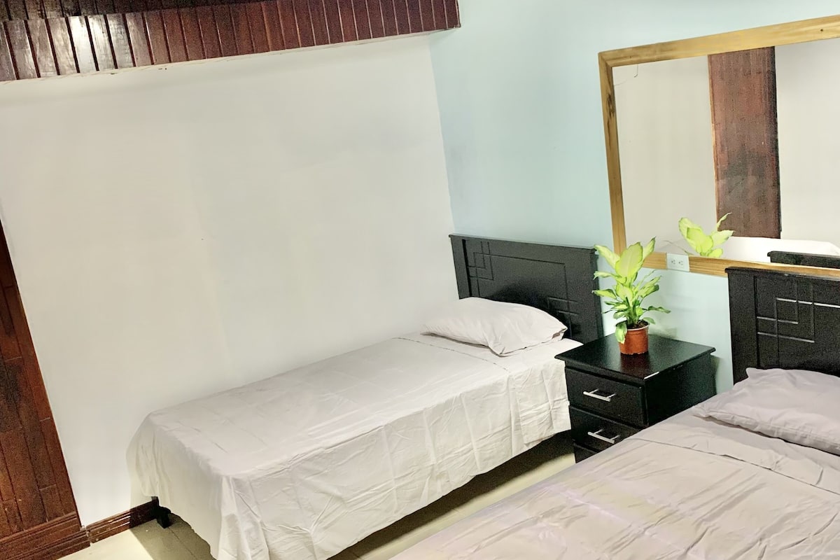 A bedroom with two single beds, a wooden headboard, a nightstand with a plant, and a large mirror on the wall.