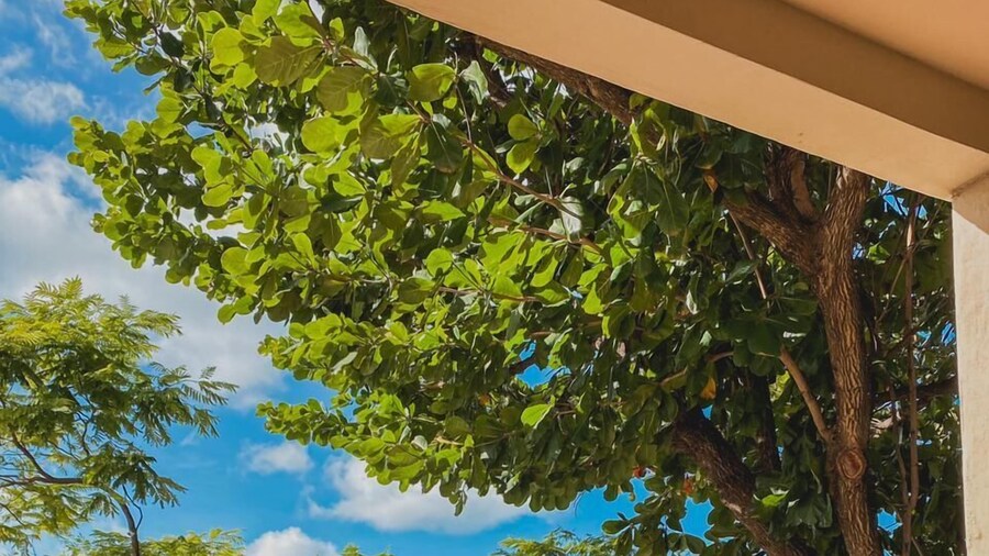 Pousada Casarão 2030