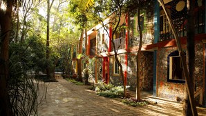 Un camino conduce a un edificio con fachadas coloridas y paredes con diseños, rodeado de árboles y vegetación.