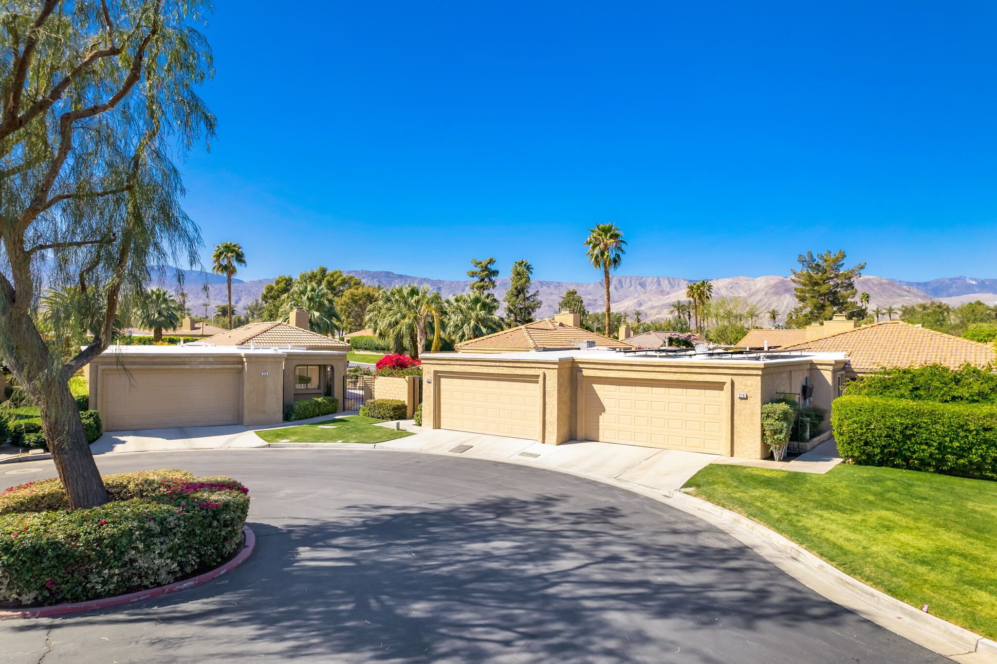 A residential area with two houses, a driveway, and a mountain backdrop.