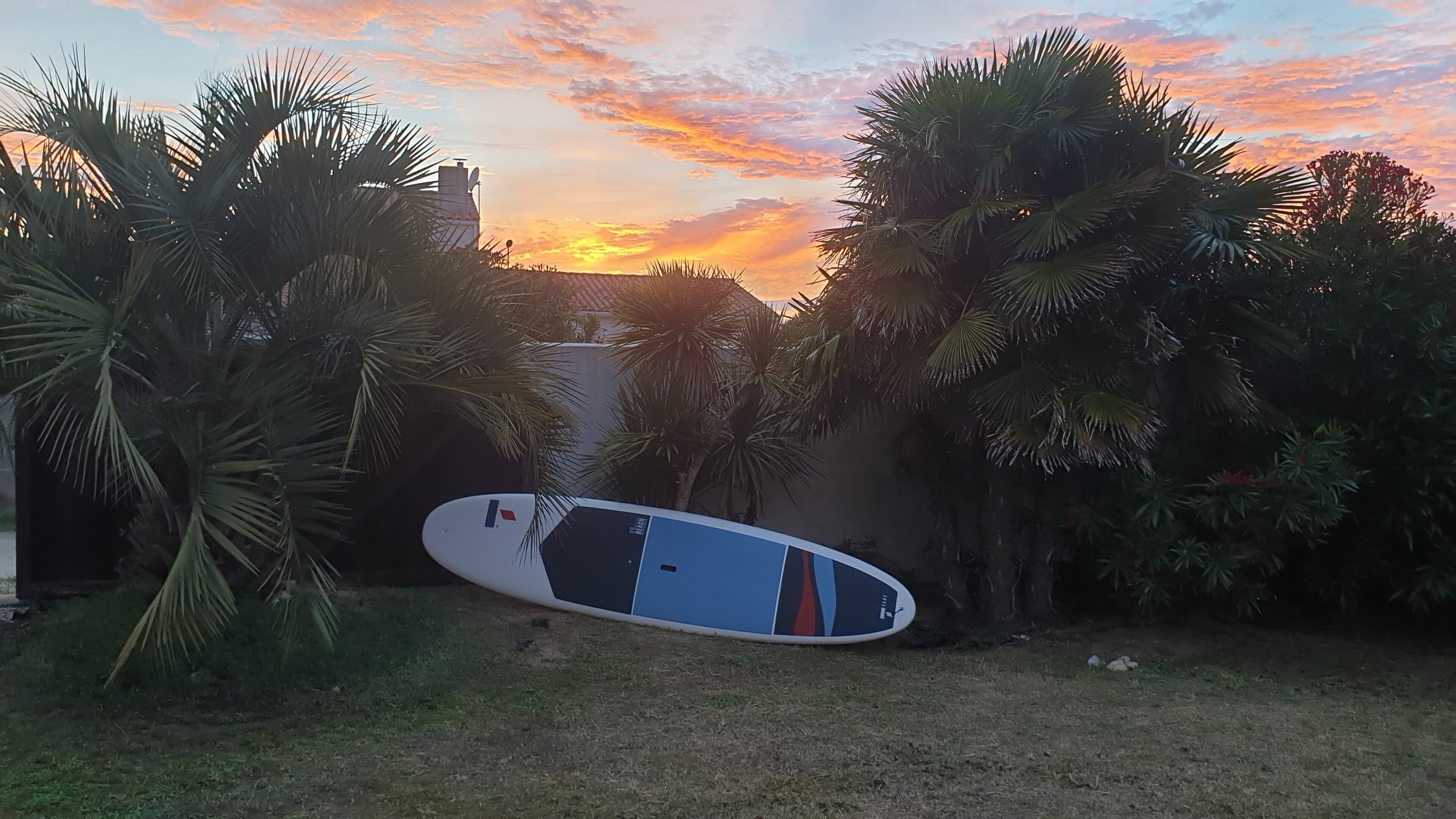 Una tabla de surf apoyada contra una pared en un jardín con palmeras.