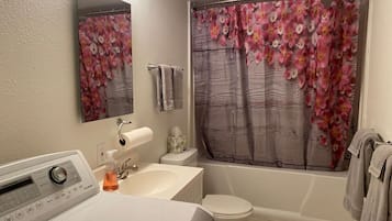 Combined shower/bathtub, hair dryer