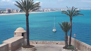 Un paseo marítimo con palmeras, un mar azul cristalino y un horizonte urbano distante.
