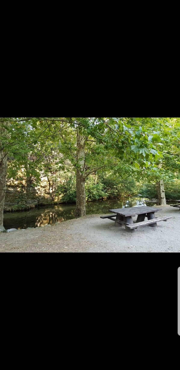 Restauration en plein air