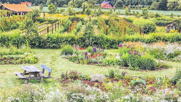 A rural landscape with a vineyard, a wooden bench, and a red-roofed house. - 1 bedroom pet friendly home in Grashoek (Grashoek)