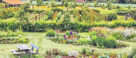 Terrein van de accommodatie