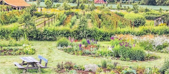 Haustierfreundliches Haus mit 1.