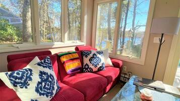 Televisión, chimenea, reproductor de DVD y libros