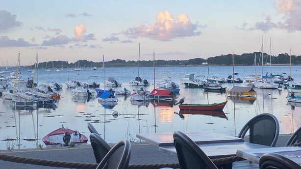 Un port esportiu amb diverses embarcacions amarrades, una superfície d'aigua tranquil·la i una costa llunyana amb arbres.
