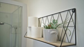 Ein Badezimmer mit Dusche, Toilettenpapierhalter und einer Pflanze auf einem Regal.