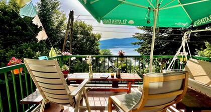 Gorica Ski House - complete villa above Mavrovo Lake