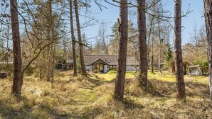 A rustic cabin surrounded by tall trees and a grassy field.