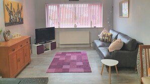 Een woonkamer met een grijze bank, een televisie, een roze en paars vloerkleed, een houten kast en een raam met blinds.