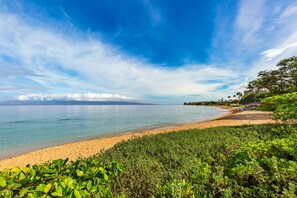 A beach with clear skies, a sandy shore, and lush greenery.