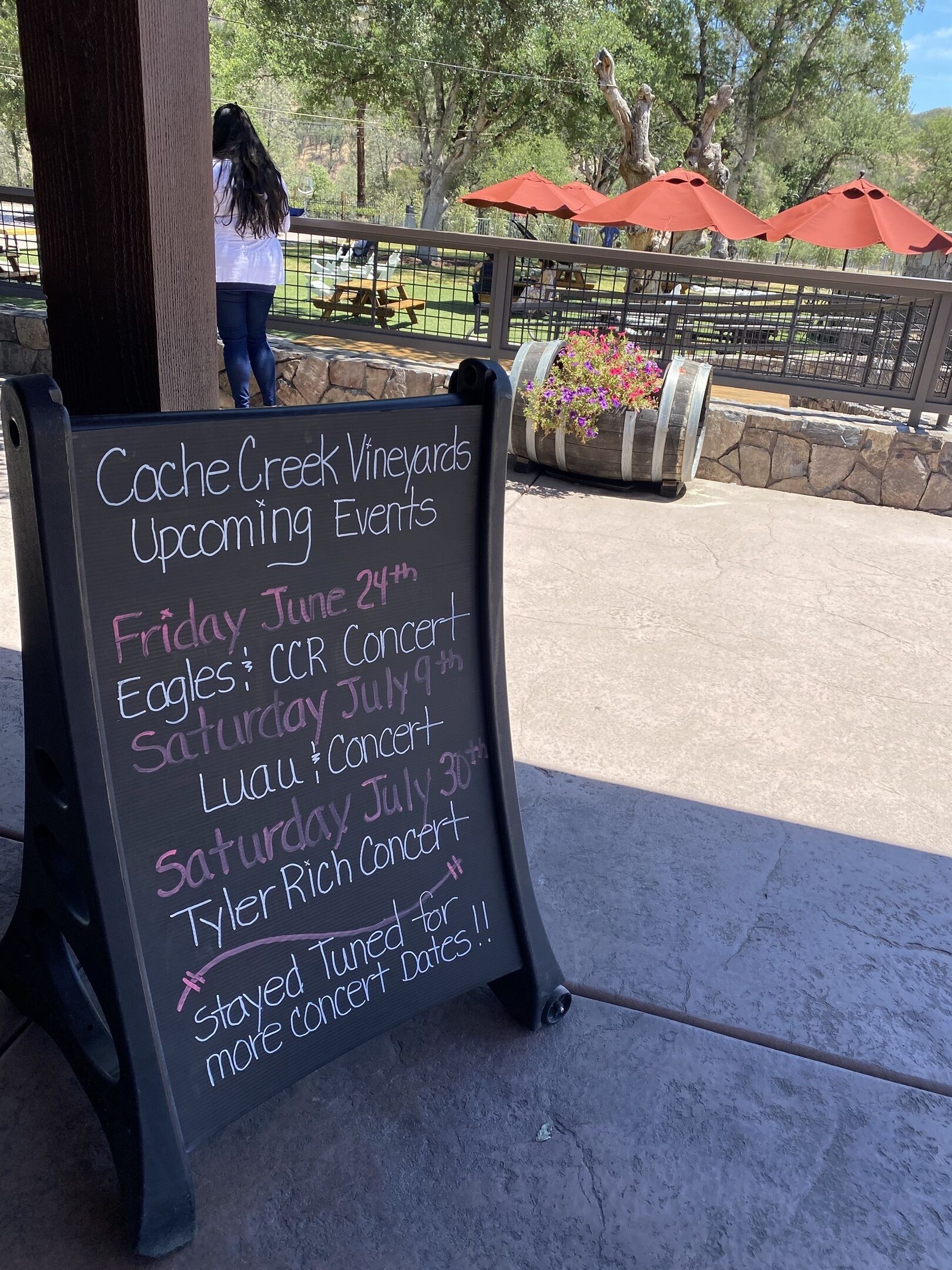 A chalkboard sign listing upcoming events at Cache Creek Vineyards.