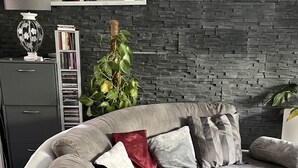 En moderne stue med en modulsofa, en bogreol og en prydplante.