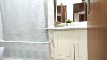 Combined shower/tub, hair dryer, bidet, towels