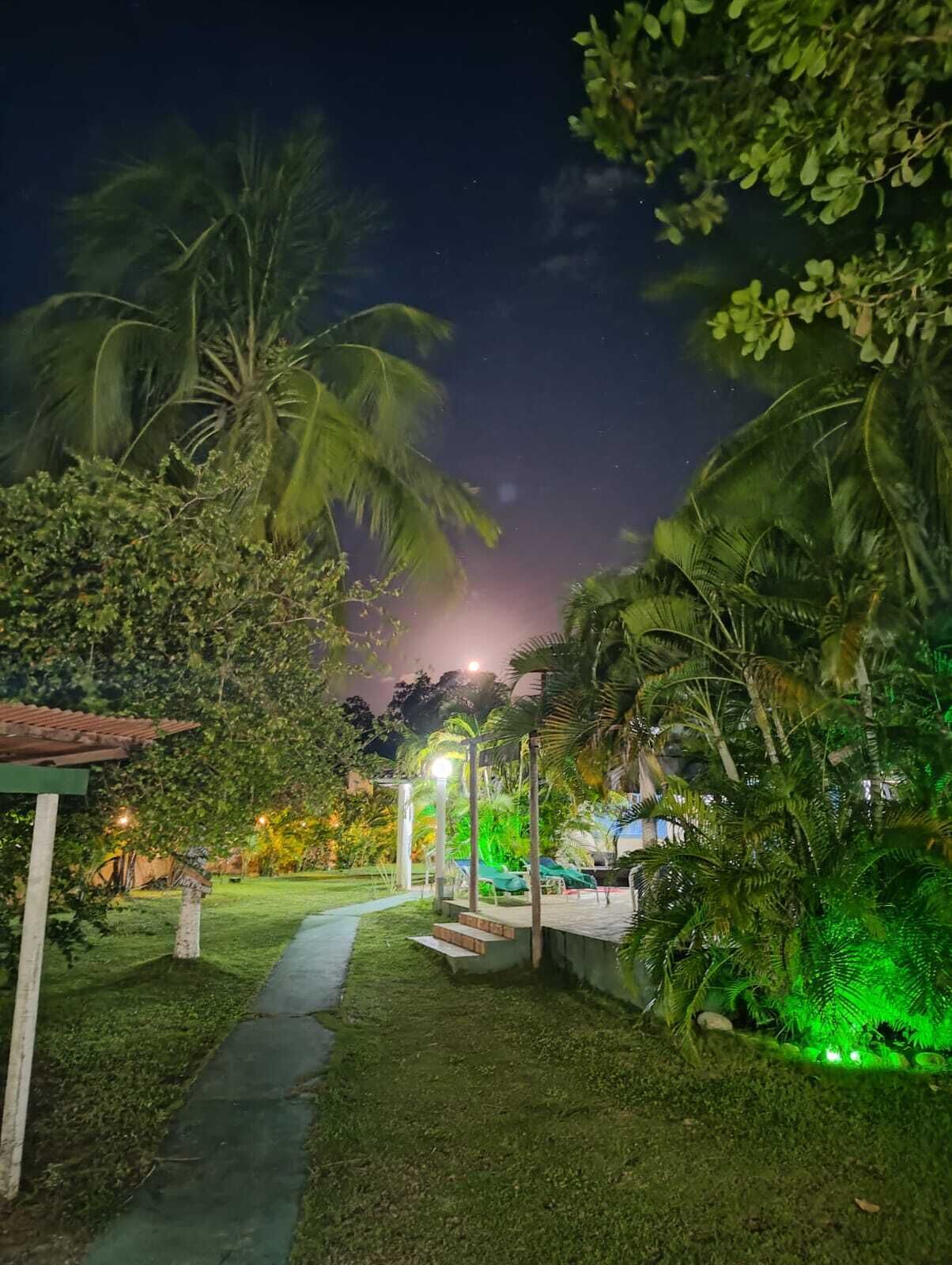 A nighttime garden with a pathway leading to a gazebo, surrounded by lush greenery and palm trees.