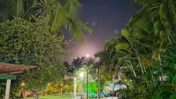 Un jardín nocturno con un sendero que lleva a un mirador, rodeado de abundante vegetación y palmeras.