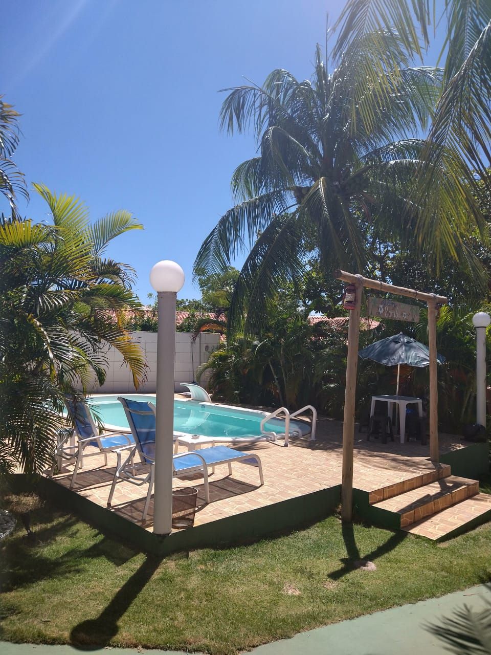 Un área de piscina con sillas de descanso, una palmera y una pérgola de madera.