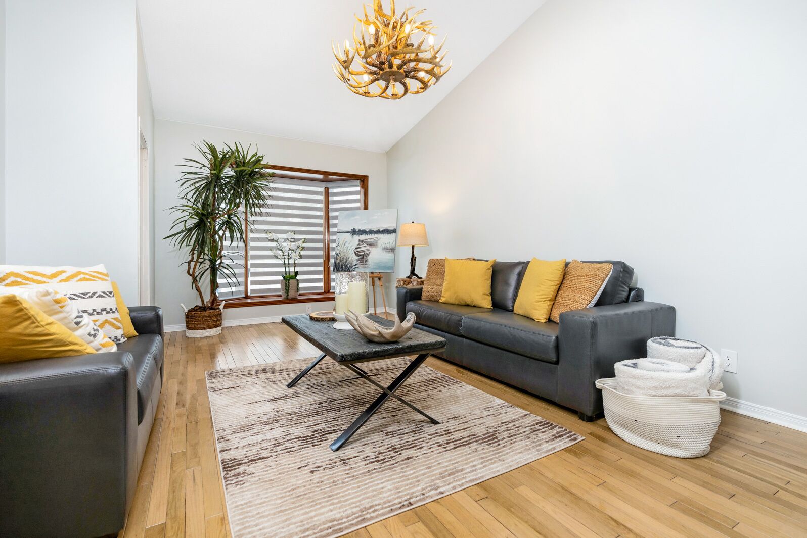 Gem on the river, walk to the beach