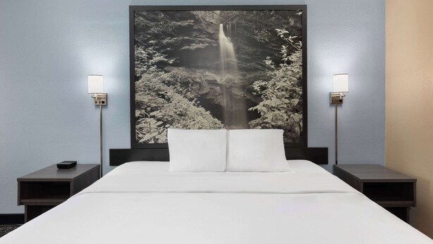 A hotel room with a large bed, two bedside tables, and a wall-mounted artwork of a waterfall.