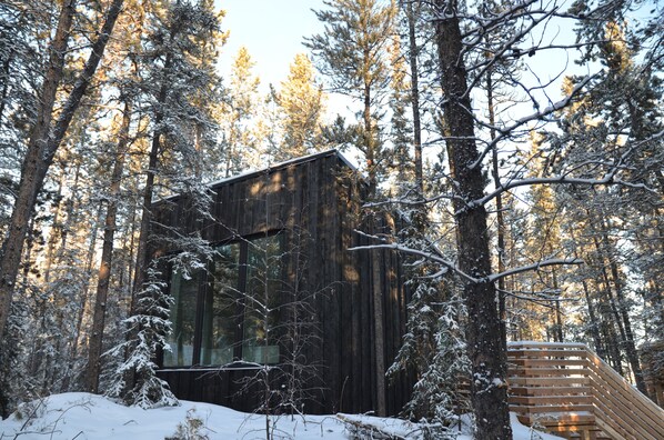 Exterior - Yukon Black Spruce (Whitehorse)