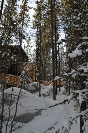 Exterior - Yukon Black Spruce (Whitehorse)