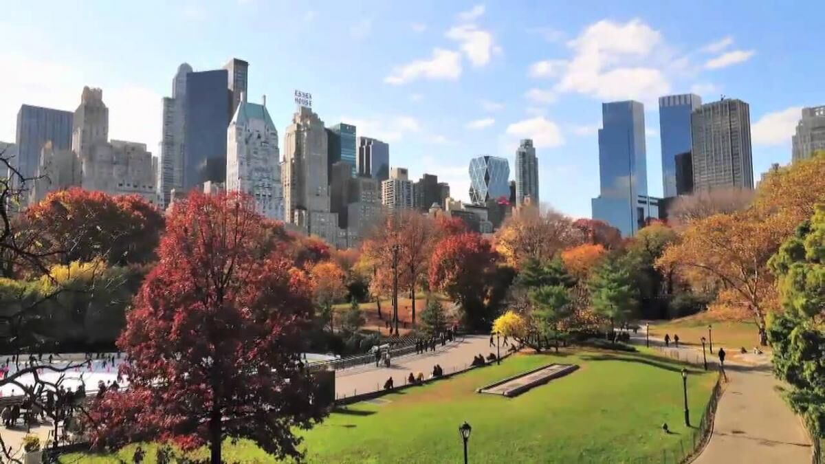 2 Comfortable Units for Business Travel, Event Space, Walk to Times Square!