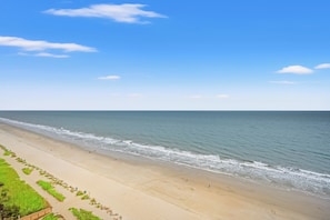 On the beach