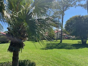 Property grounds - Bright Spacious Villa with a Pool – 15 min from Siesta Beach #1 Beach in the USA (Sarasota)